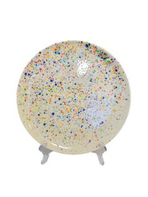 Colorful Ceramic Speckled Dinner Plates - Set of 6