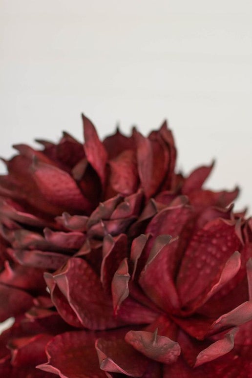 Faux Botanica