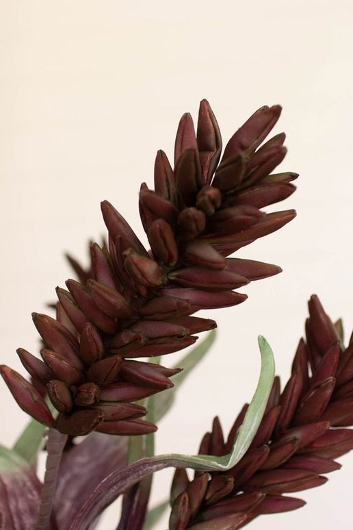 Faux Botanica