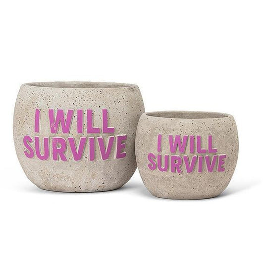 "I Will Survive" Planter