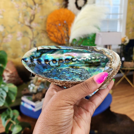 Mama Earth Abalone Shell, Large