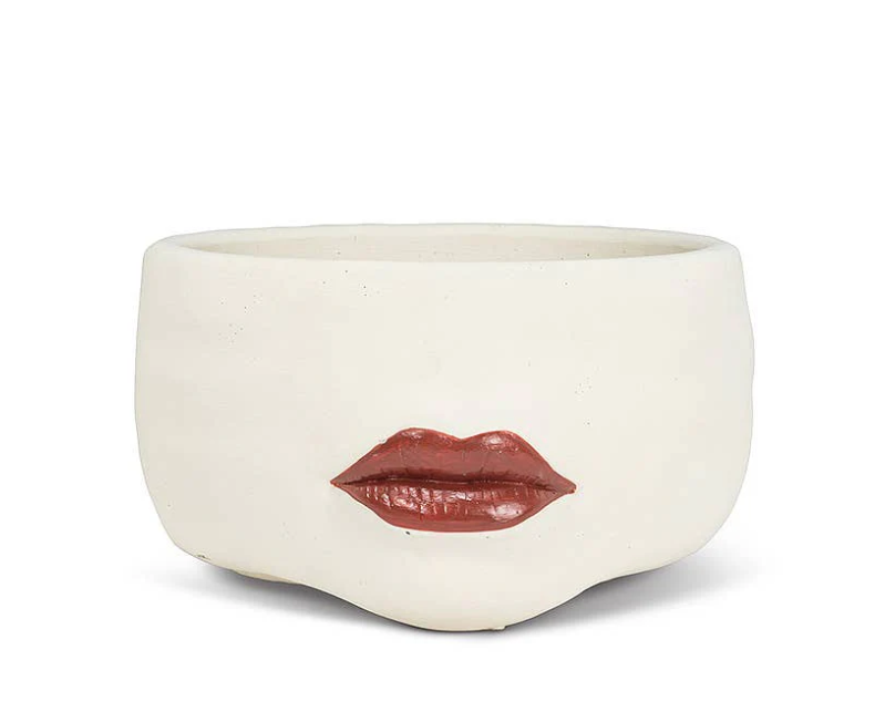 Aretha Low Red Lip Planter