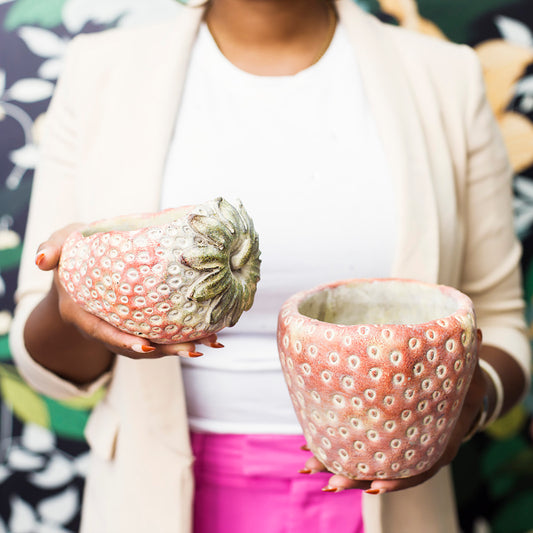 Strawberry Planters